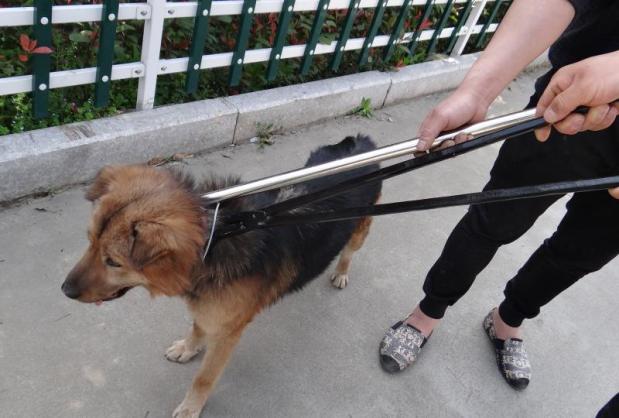 救助工具抓捕网兜捕狗器抓狗神器套狗绳流浪猫动物防咬手套捕狗钳单独
