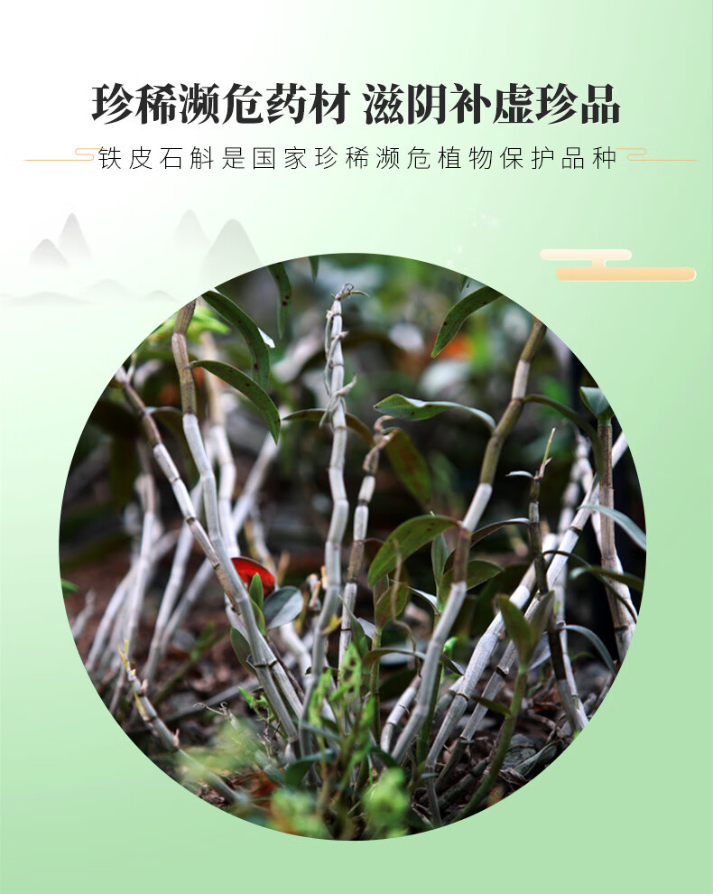 立钻铁皮枫斗颗粒3g12袋20盒立钻铁皮枫斗含片12片10小盒礼盒装送礼
