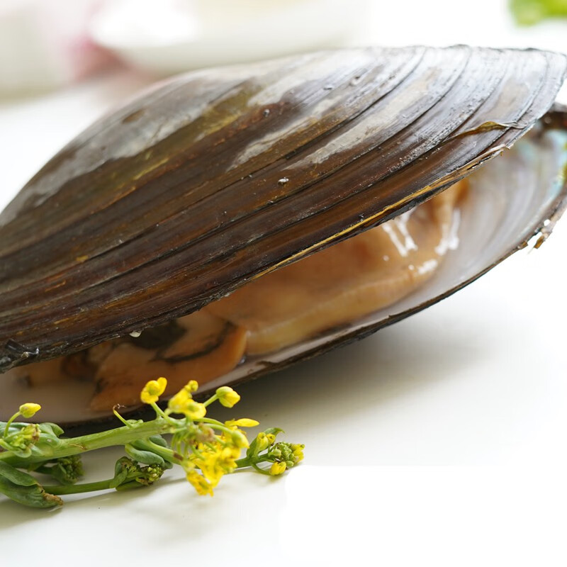 轻恋 生鲜纯河蚌肉 淡水河蚌 去壳净肉 微湖小炒食材 净肉3斤【图片