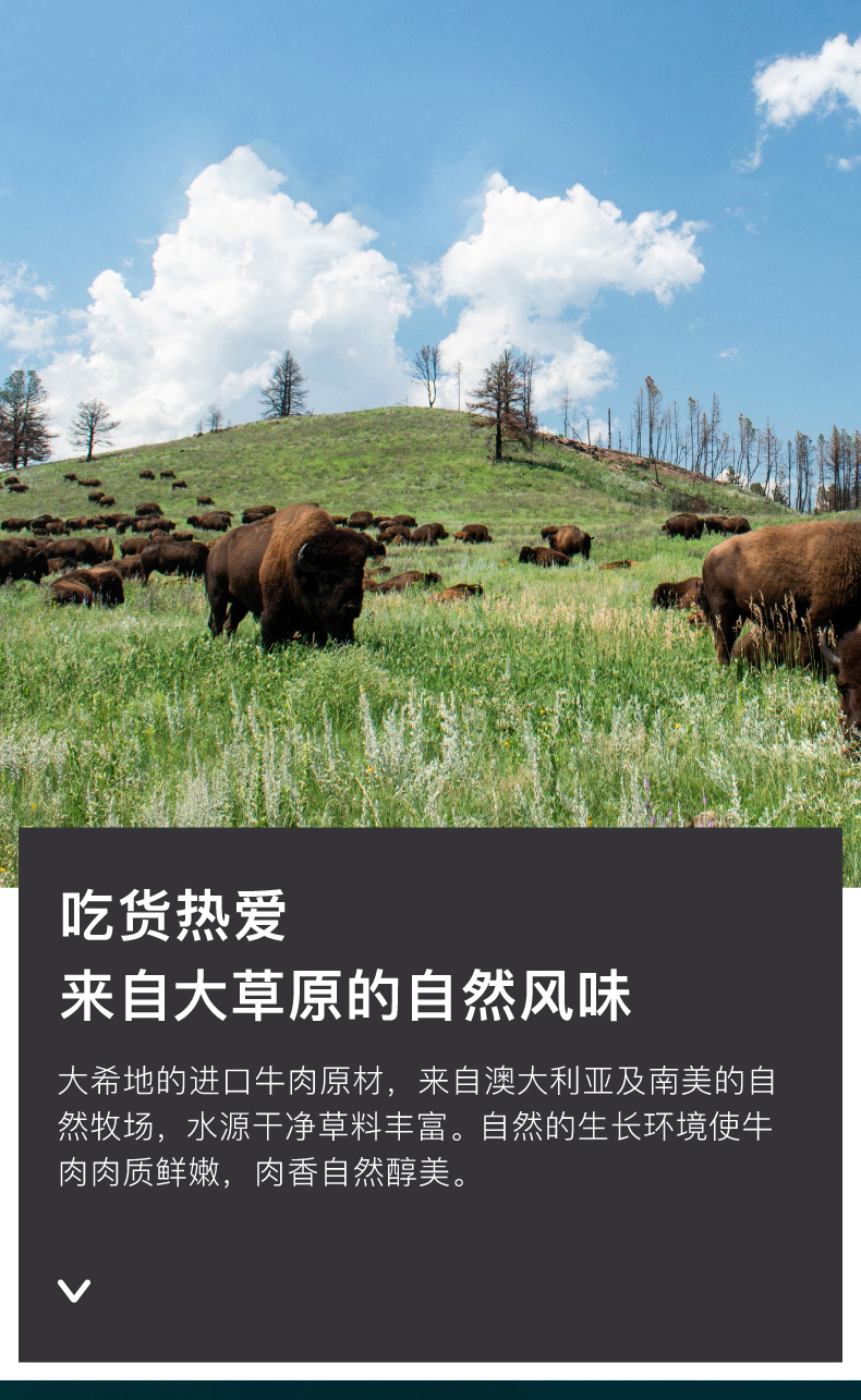 大希地 原切牛排套餐 100g*10片 图2