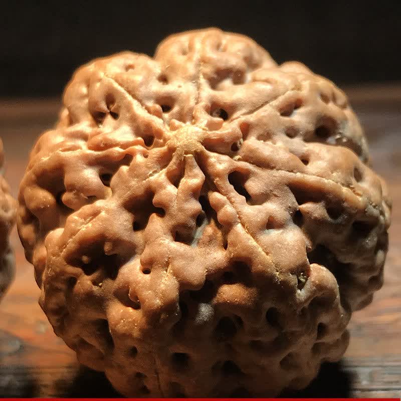 789瓣爆肉蜂王大金刚菩提手球保健球手转球核桃文玩老年手串把件蜂窝