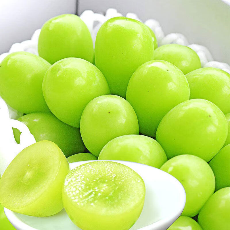 晴王阳光玫瑰葡萄新鲜水果无籽整箱香印青提当季孕妇 颗粒装【精选单