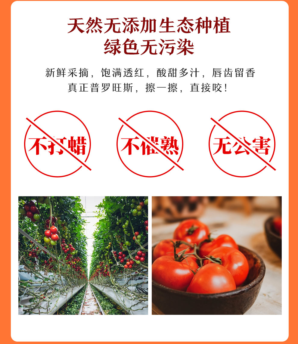 西红柿 普罗旺斯番茄 新鲜水果蔬菜 自然熟甜蜜多汁 中果2斤装 6枚 大