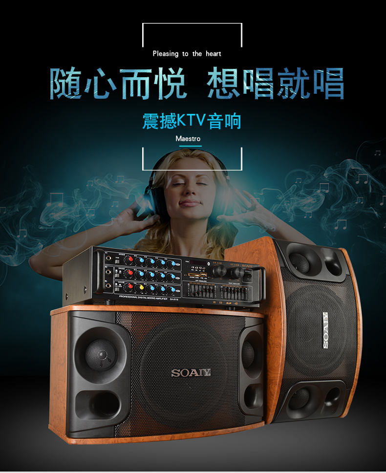 索爱ck-m9k家庭ktv音响套装卡拉ok点歌机功放卡包家用全套音箱 ktv豪