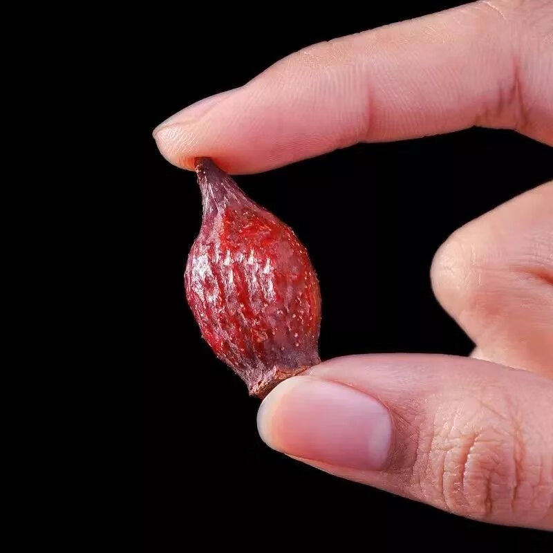 金樱子芡实泡水中药材水陆二仙丹干货生芡实金樱子茶野生粉慈医华佗