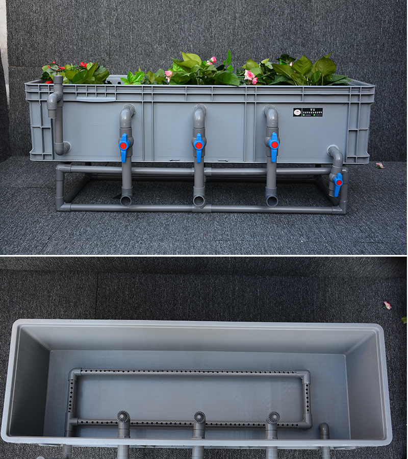 周转箱沼泽过滤盒室外鱼缸鱼池龟缸过滤器植物免维护鱼菜共生1204028