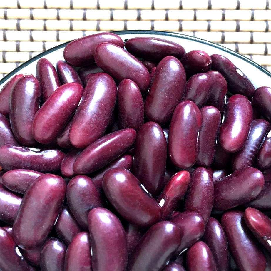 精选装紫芸豆红腰豆肾豆大芸豆五谷杂粮大红豆熬粥焖饭煲粥紫芸豆500g