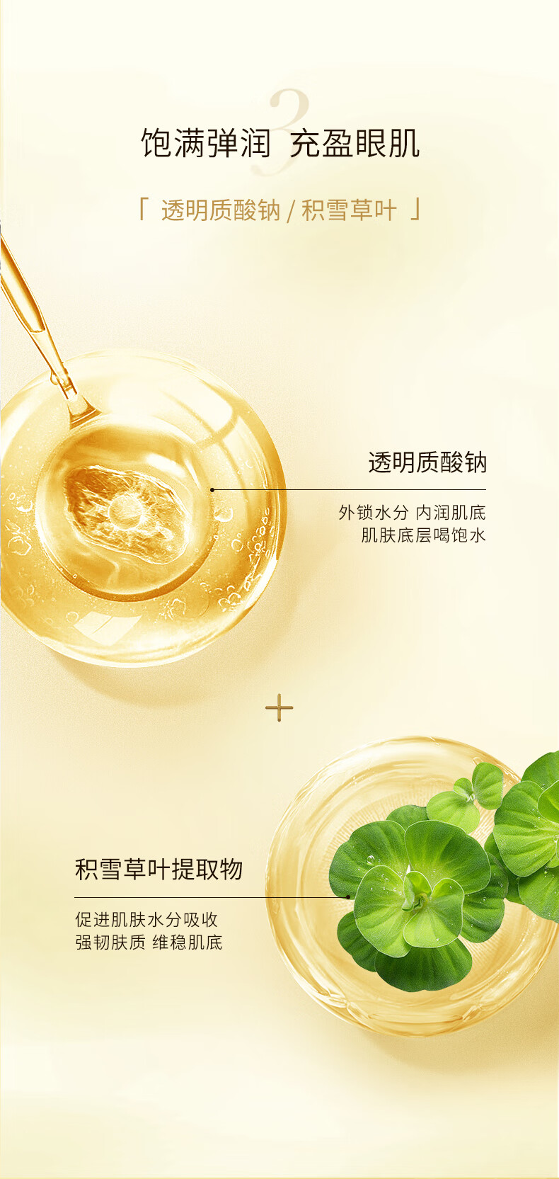 TWG【小棕瓶鱼子酱】眼霜第八代淡化保湿细纹黑眼圈眼袋补水熬夜眼部 小棕瓶眼霜20G*【3瓶】最实惠