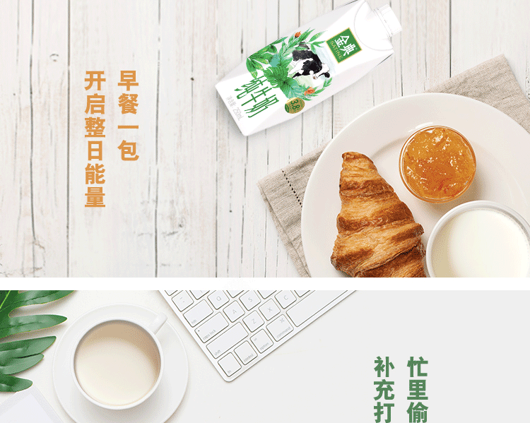 伊利 金典纯牛奶梦幻盖250ml*10盒\箱 3.8g乳蛋白 金典纯牛奶梦幻盖*1箱