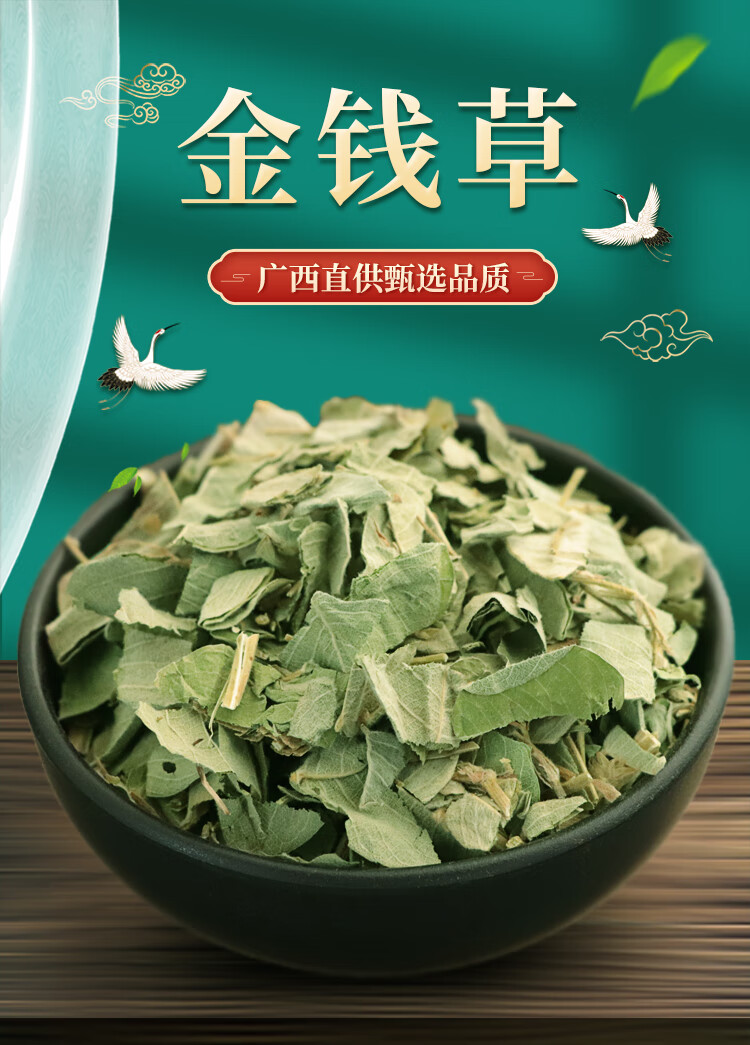 广西大叶金钱草干500g中草药金钱草天然广金钱草泡水搭鸡内金药材