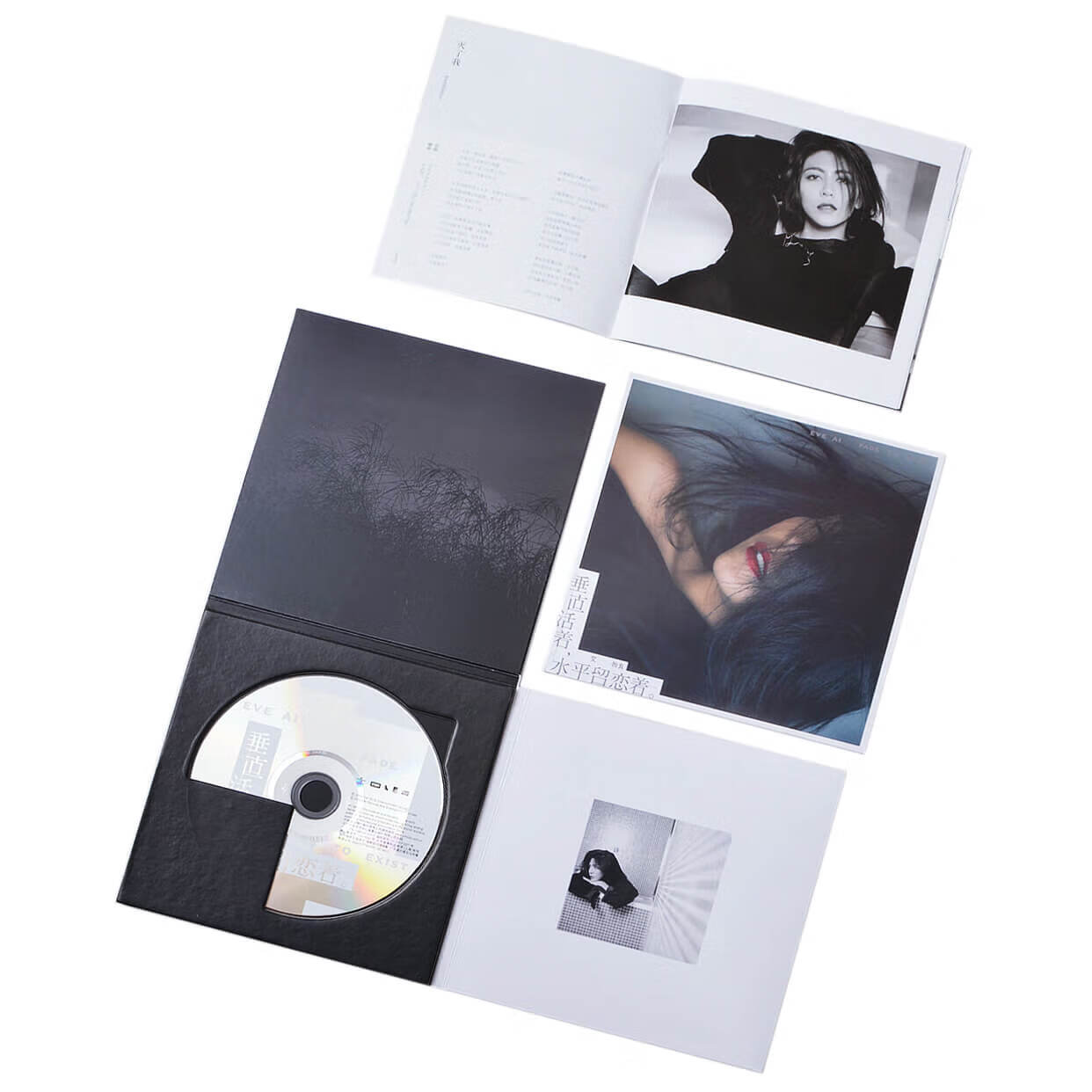 正版 艾怡良 垂直活着,水平留恋着 2018专辑 唱片cd车载音频光盘碟片