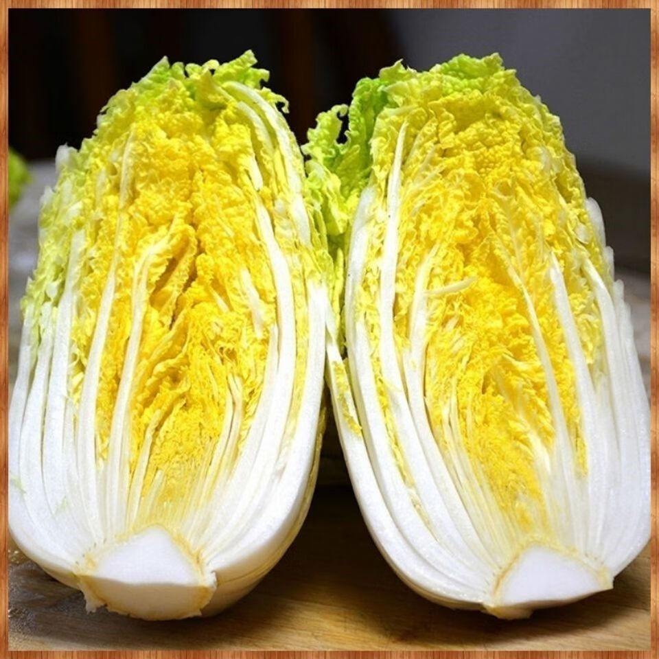 精品高山娃娃菜自种新鲜蔬菜黄心白菜小娃娃菜大娃娃菜56斤实惠装