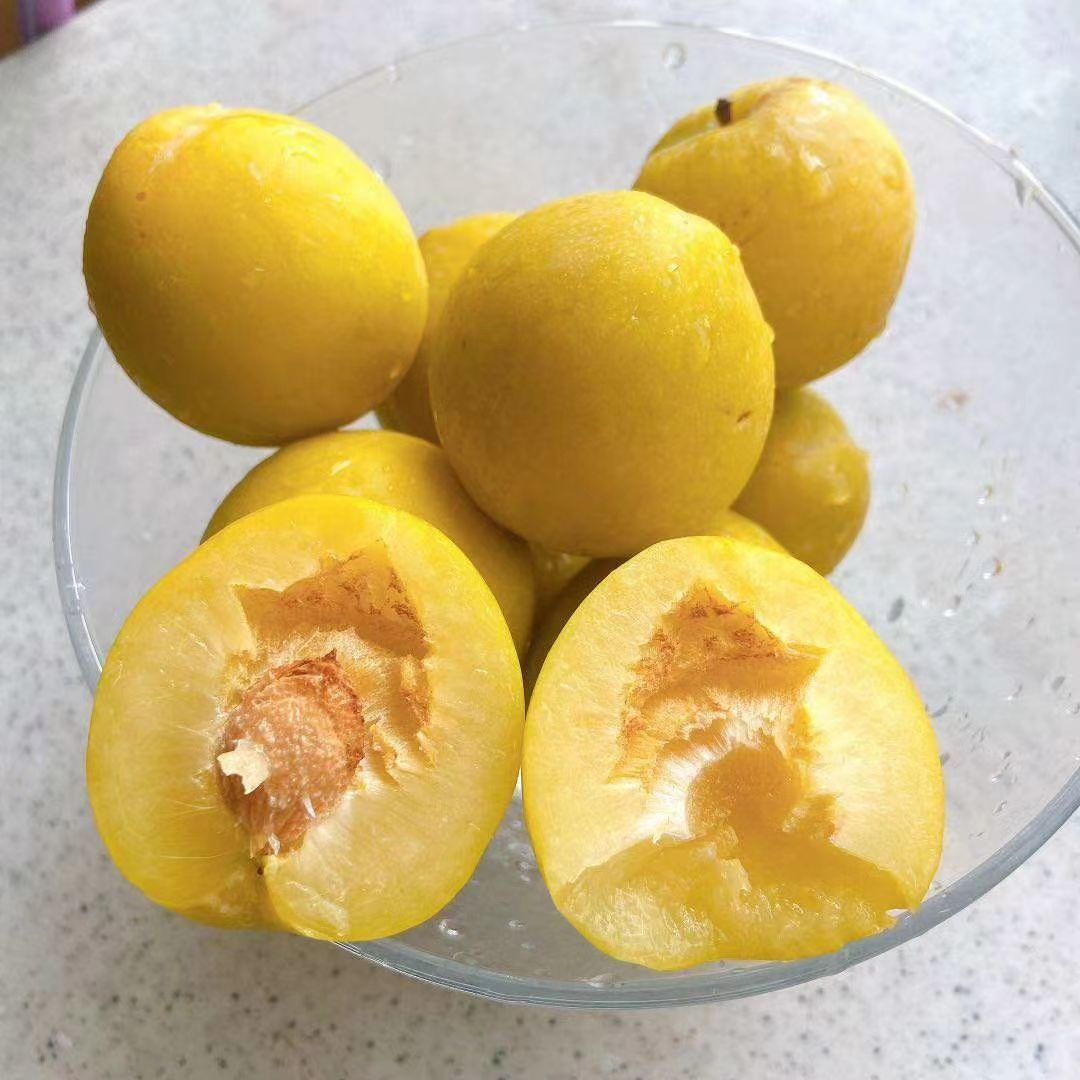 湖南汝城文明黄金奈李脱骨李子新鲜脆甜现摘现发 5斤装小果【图片