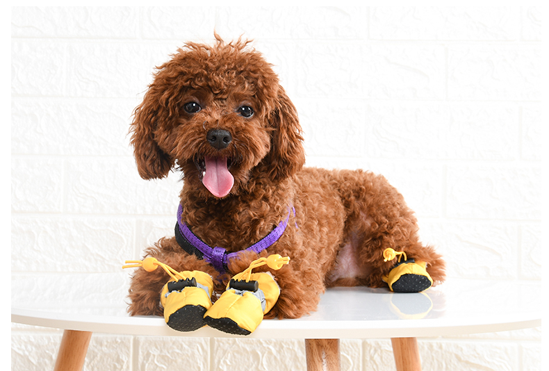 泰迪狗鞋子四季穿的狗狗鞋子泰迪小型犬一套4只 宠物鞋软底四季鞋套