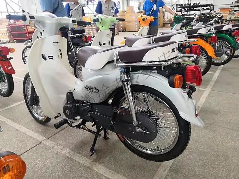 弯梁复古摩托车110两轮国四电喷嘉陵coco幼兽全国可上牌 浅蓝双离合