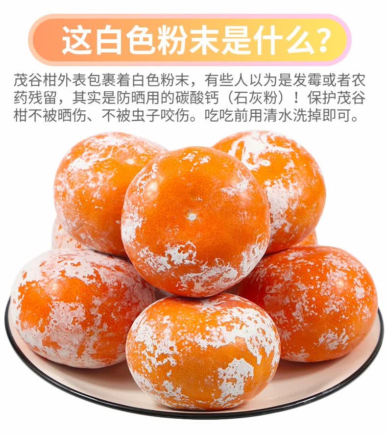 【大荔助农馆】广西茂谷柑橘新鲜特供味佳脏脏柑且浓郁皮薄多汁石灰柑