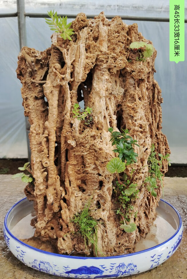 吸水石原石上水石假山盆景客厅新流水装饰摆件造景真石头 巧克力色