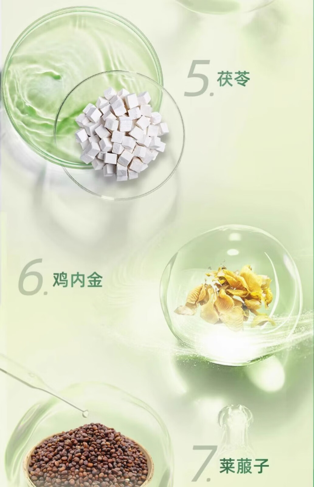 0441f1e4f4aed804.jpg