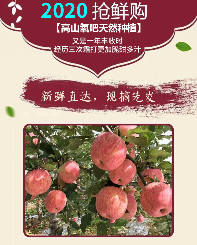 洛川红富士苹果水果新鲜脆甜带箱10十现季斤当季整箱陕西延安 9斤