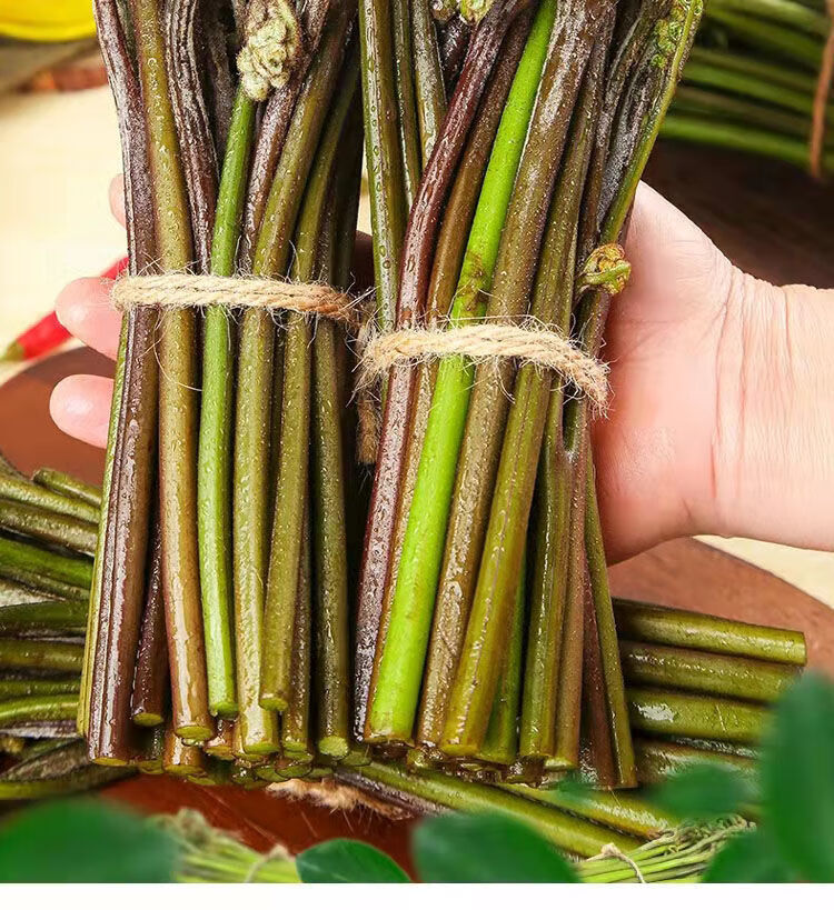 现摘现发贵州新鲜蕨菜山野菜甜蕨菜蔬菜龙爪菜整箱批发现摘现发5斤箱