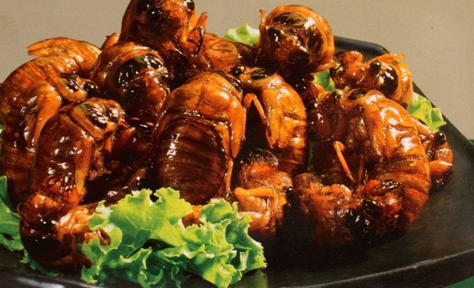 【官方旗舰】炸金蝉 油炸鲜活知了猴熟食开袋即食炸爬叉现炸现卖知了