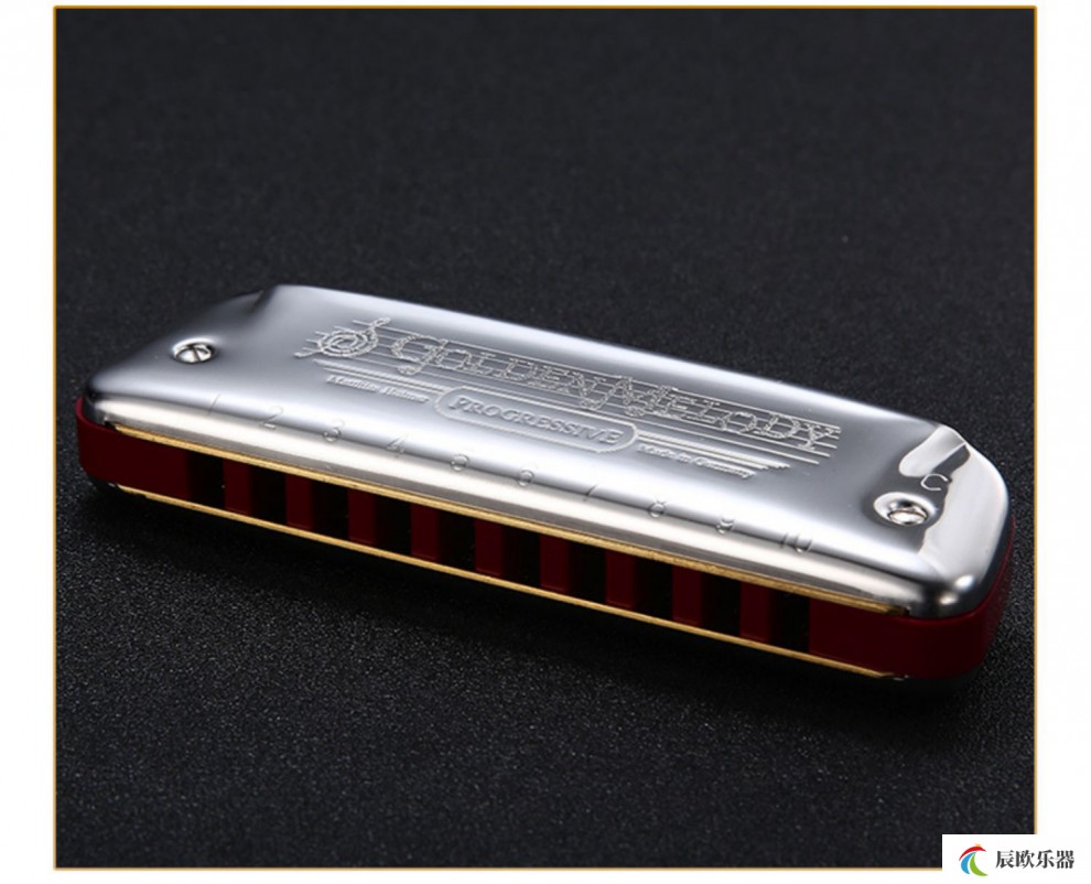 德国十孔蓝调布鲁斯口琴c调gm初学者专业演奏乐器g调