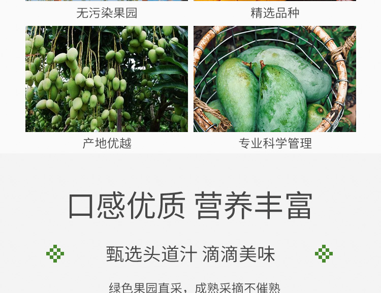 众果美味 头道榨取 100%芒果复合果汁 1L*2瓶 无添加 图6