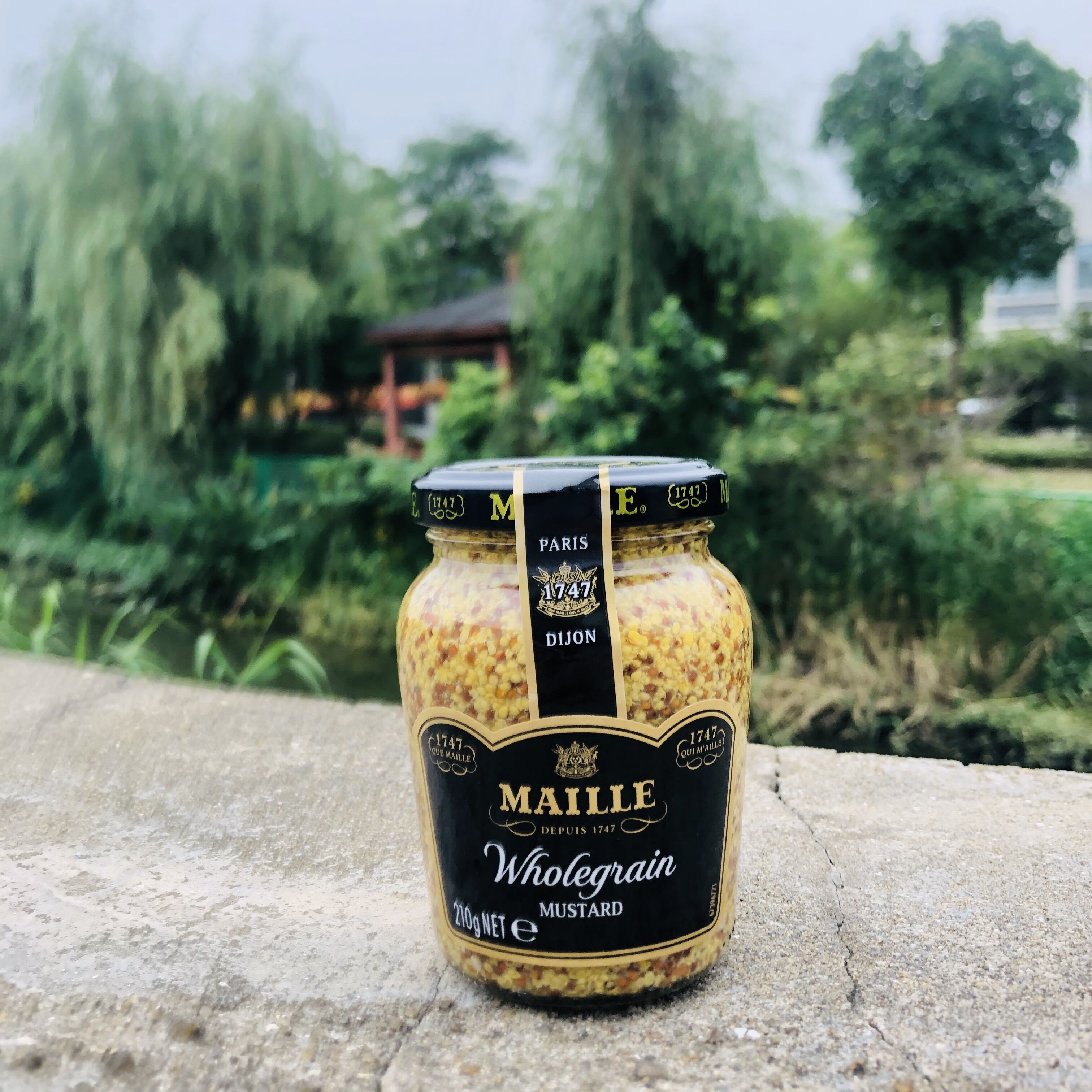 法国进口 传统第戎芥末酱215g 粗粒大藏芥末酱 dijon mustard dijon