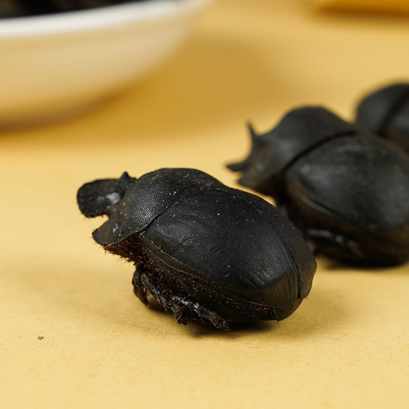 中药材屎壳郎大将军蜣螂虫推屎虫黑牛清水300g