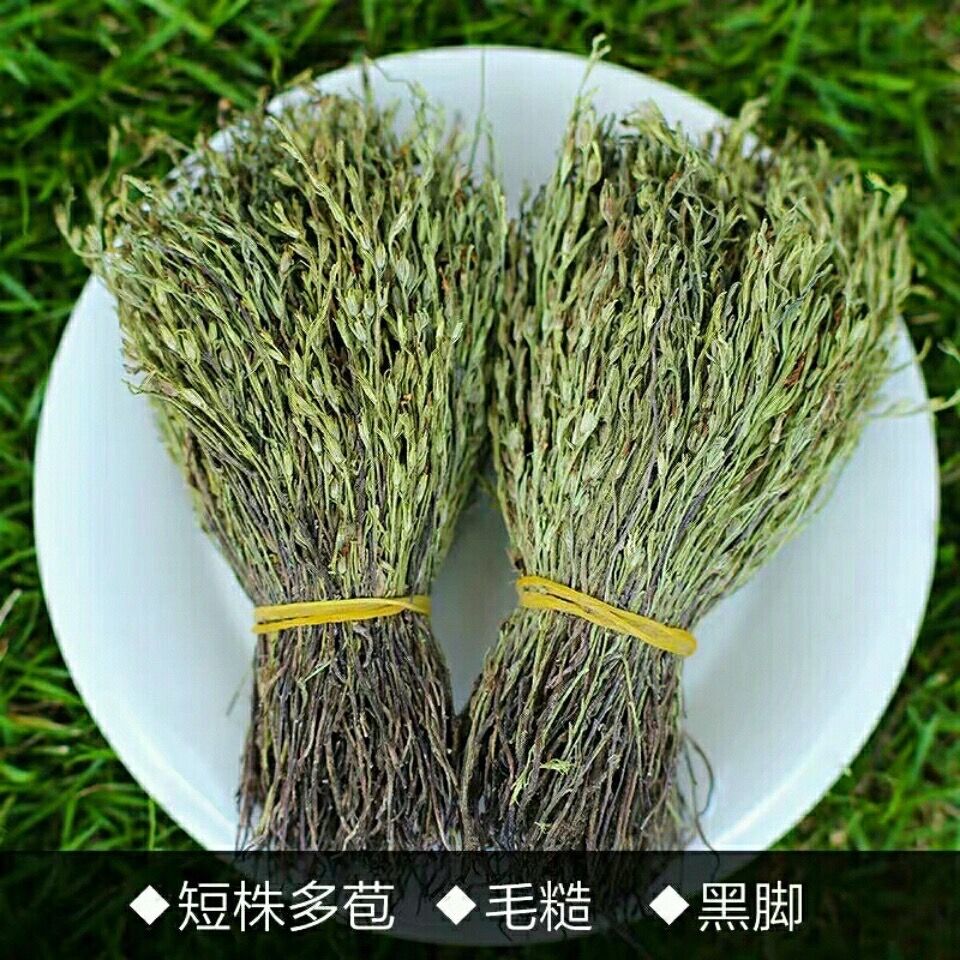 伟博官方旗舰独脚金草疳积草小儿开胃汤短脚独角金煲汤2022新鲜干货