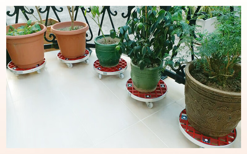 花盆底座滑轮圆形花盆托盘带万向轮加厚可移动托盘带轮底座滑轮花架