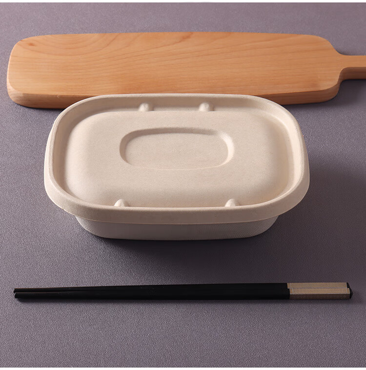 记之邦 野餐盒 一次性可降解环保一次性大餐盒耐高温可微波加热野餐