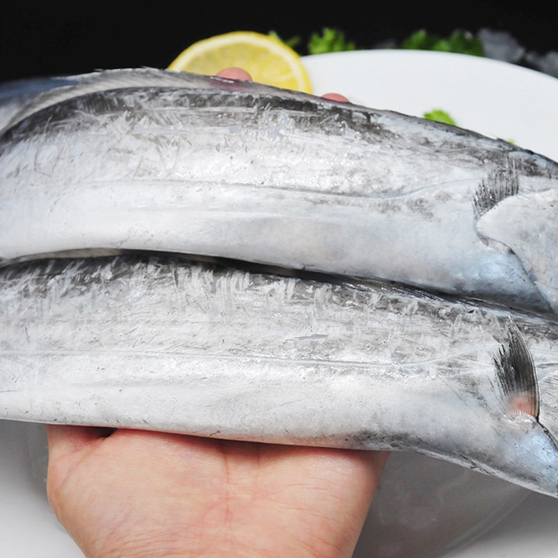 舟山大带鱼净重无冰东海带鱼新鲜鲜活刀鱼海鲜水产鲜活1斤约2条无冰