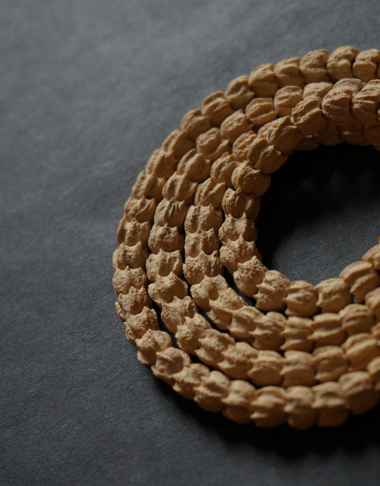 情冰 热振柏香籽龙爪百香籽个性项链 佛珠菩提子手串 龙爪纹7mm【图片