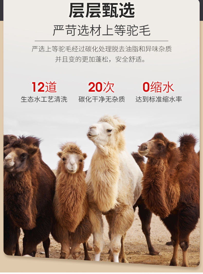 中老年加绒裤子妈妈保暖裤冬季女士加厚外穿高腰冬老人驼绒棉裤女sn