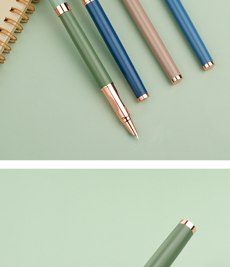 罗氏 新品罗氏金属钢笔中小学生用练字帖写作业0.28特细0.