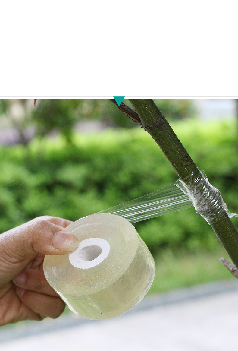 嫁接膜果树缠绕膜嫁接专用塑料薄膜自粘嫁接剪刀透明免打结拉伸膜