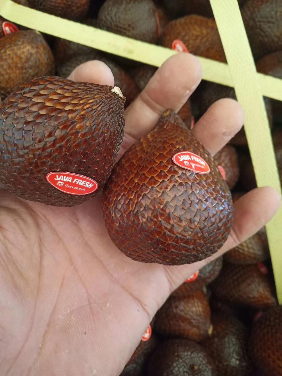 星派果现货印尼蛇皮果2斤新鲜进口稀有水果罕见特别稀奇古怪热带