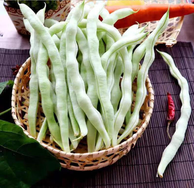 媚调东北白豆角(发顺丰)新鲜蔬菜白不老芸豆角 白