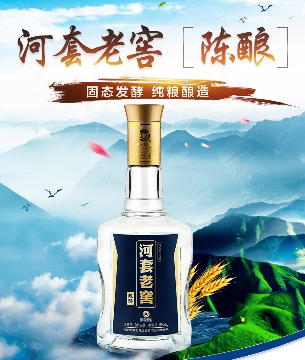 河套老窖陈酿50度浓香型高度白酒老窖醇香口粮酒窖藏纯粮食接待酒包装