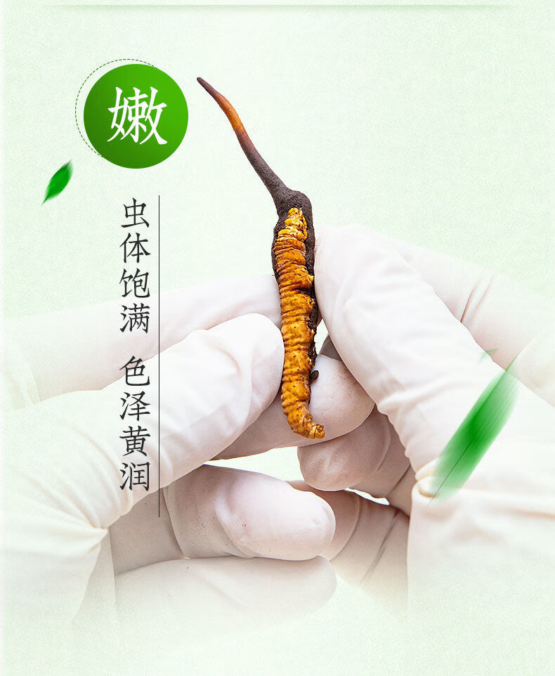 【2022 新鲜冬虫夏草】新鲜冬虫夏草西藏那曲头期虫草鹿伊梵麦 0.