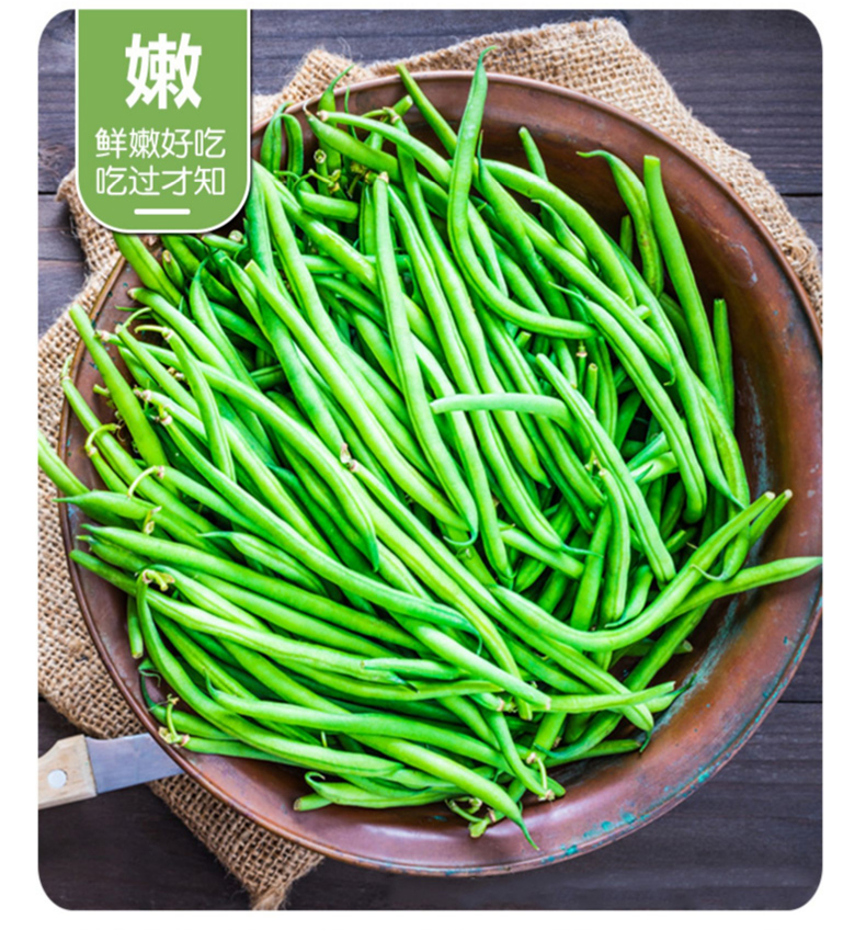 农家新鲜芸豆蔬菜四季豆无筋豆应季时令豆角扁豆25kg