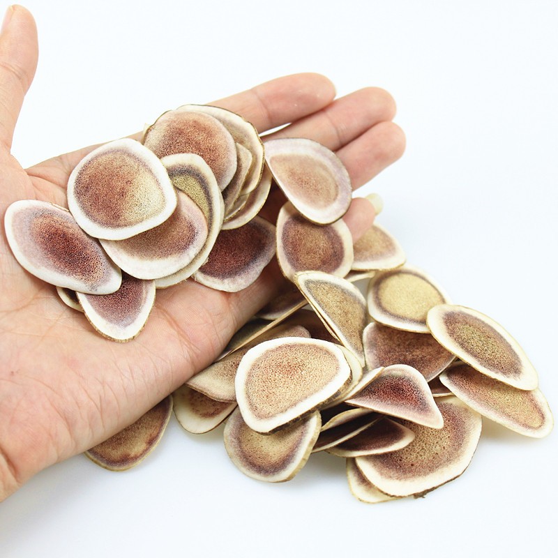 有仁堂长白山鹿角片整根切制吉林鹿茸骨片年货1000克