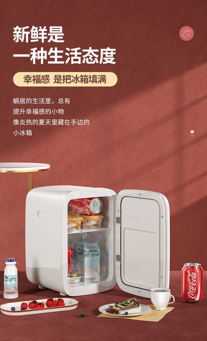 特价捡漏迷你小冰箱小型家用宿舍车家两用学生车载制冷藏单人租房用