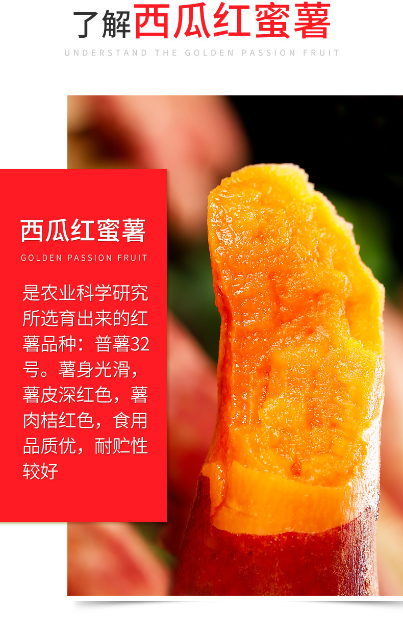 广西西瓜红蜜薯糖心红薯新鲜地瓜普薯32号网套纸箱9斤中果