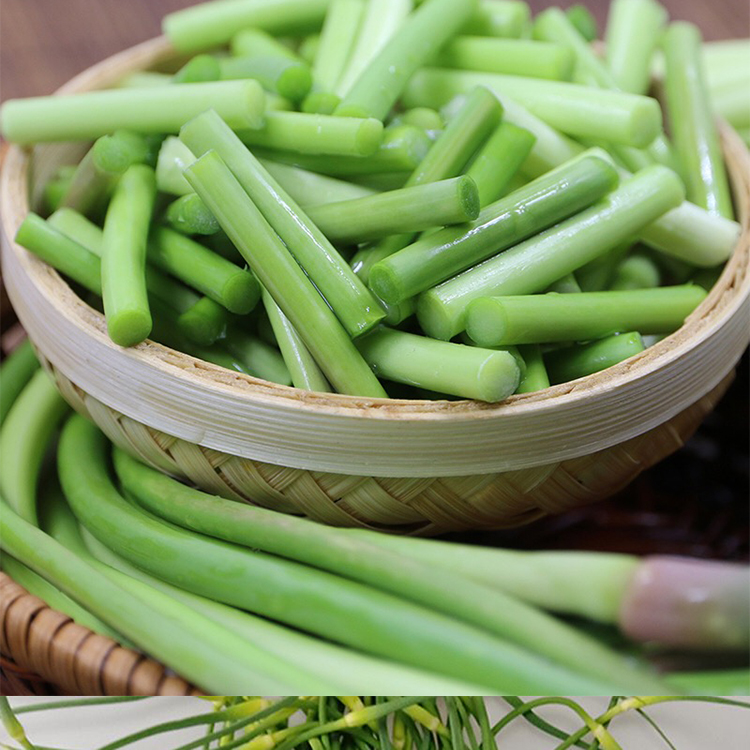 新鲜短蒜苔河南特产蒜薹蒜苗农家蔬菜3斤嫩蒜苔蒜毫青蒜苗 1500g*2
