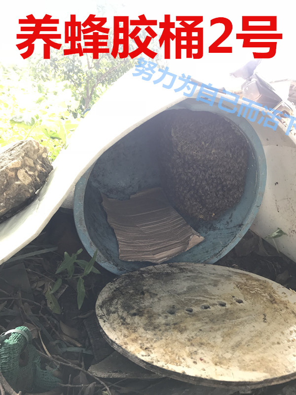 诱蜂桶黑色塑料桶去味旧招蜂水桶野外捕蜜蜂养蜂桶引蜂箱中蜂蜂蜡曦润
