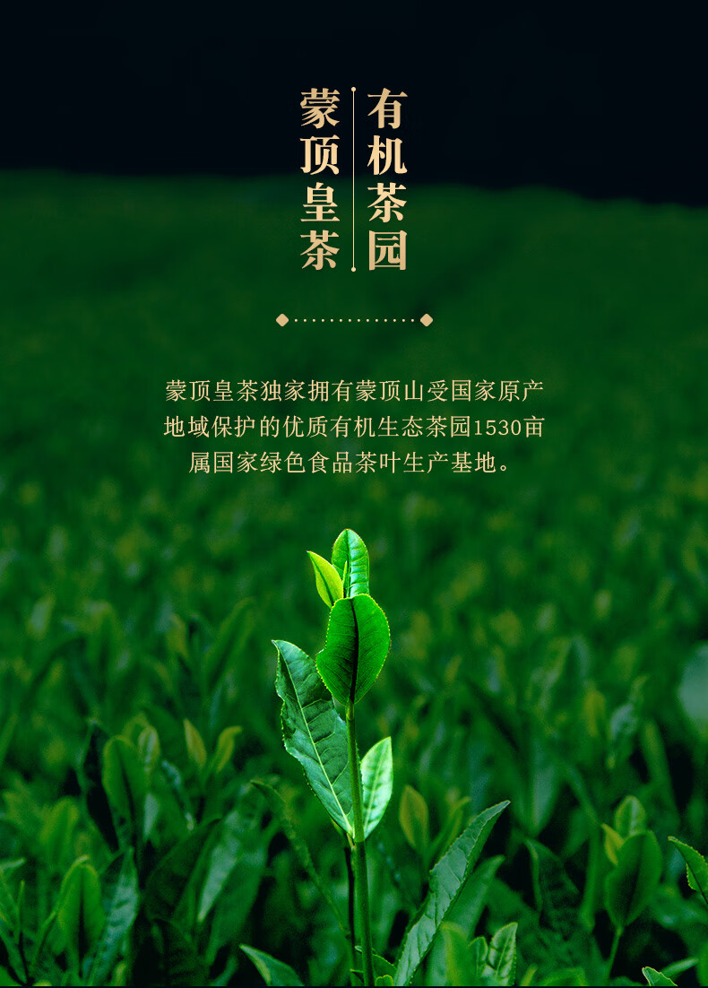 蒙顶皇茶茉莉花茶浓香型四川散装茶叶2020明前新茶75克