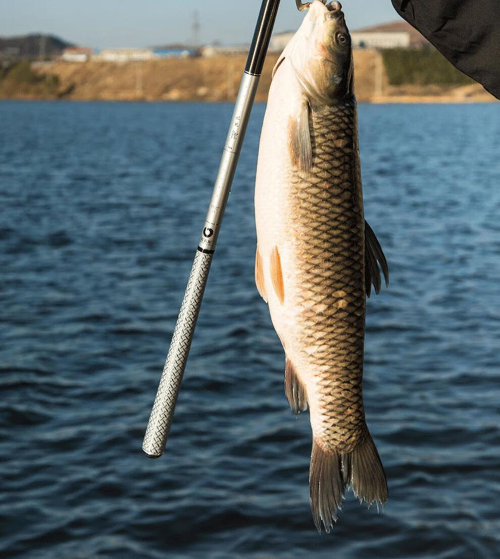 宝飞龙2021新款鱼竿旗舰官银龙鲤ss三代超轻超硬台钓竿方钓鱼杆手杆店