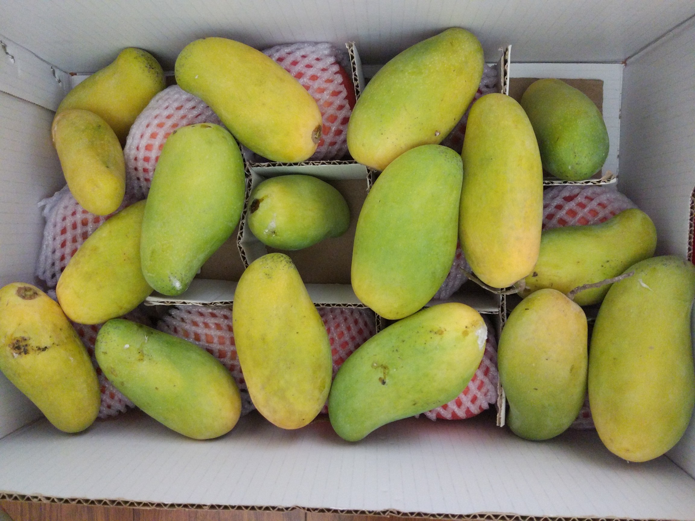 海南象牙芒小腰芒果10斤带箱新鲜水果特级大芒果中果大忙果